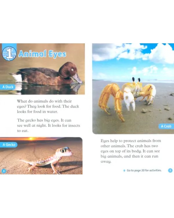 Дополнительное изображение книги «Oxford Read and Discover. Level 1. Eyes»