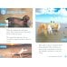 Дополнительное изображение книги «Oxford Read and Discover. Level 1. Eyes»