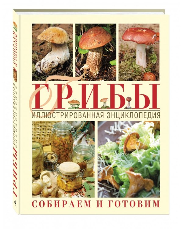 Грибы. Иллюстрированная энциклопедия. Собираем и готовим