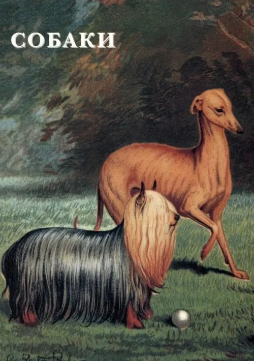 Открытки Набор открыток. Собаки