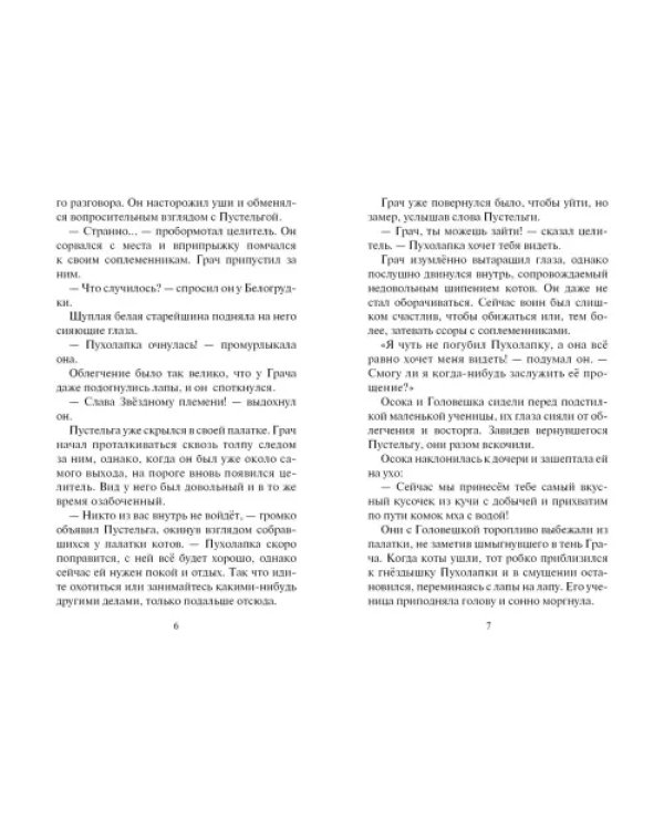 Дополнительное изображение книги «Испытание Грача. Прощение»