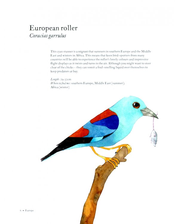 Atlas of Amazing Birds