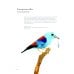 Atlas of Amazing Birds