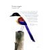 Atlas of Amazing Birds