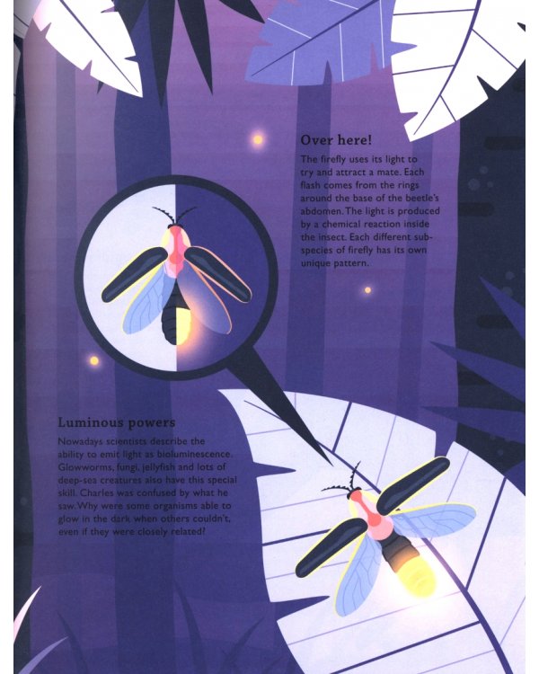 Дополнительное изображение книги «Darwin's Voyage of Discovery»