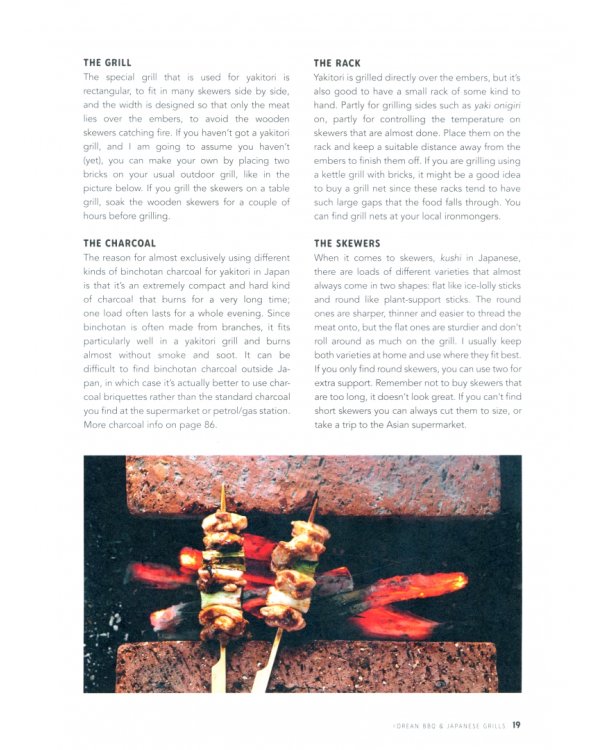 Korean BBQ and Japanese Grills. Yakitori, Yakiniku, Izakaya