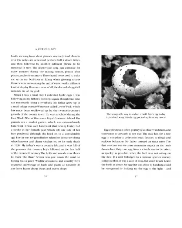 A Curious Boy. The Making of a Scientist