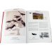 Arthur Rackham. A Life with Illustration
