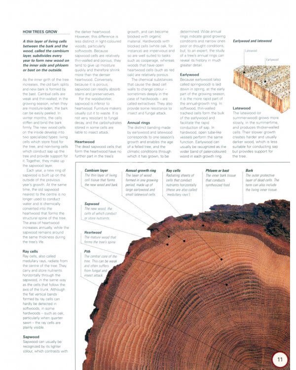 Collins Complete Woodworkers Manual