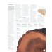 Collins Complete Woodworkers Manual