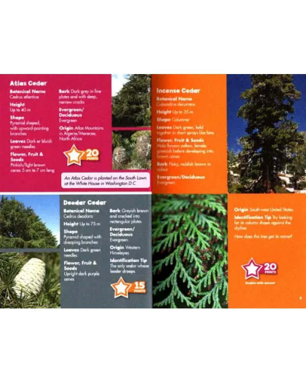 Дополнительное изображение книги «I-Spy Trees. Spy It! Score It!»