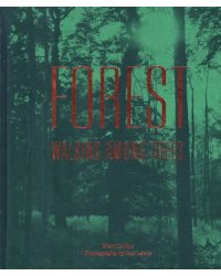 Forest. Walking among trees