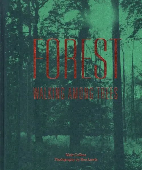Forest. Walking among trees