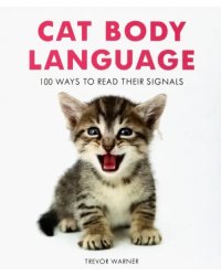 Cat Body Language. 100 Ways To Read Their Signals