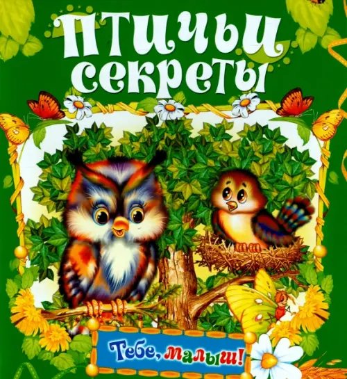 Тебе, малыш! Птичьи секреты