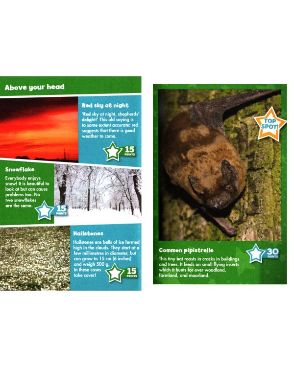 Дополнительное изображение книги «I-Spy Nature. Spy It! Score It!»