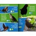 Дополнительное изображение книги «I-Spy Garden Birds. Spy It! Score It!»