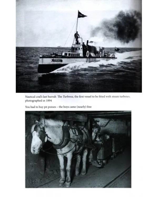 Black Gold. The History of How Coal Made Britain