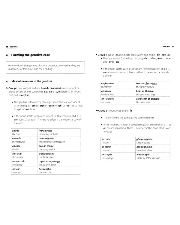 Дополнительное изображение книги «Irish Grammar»