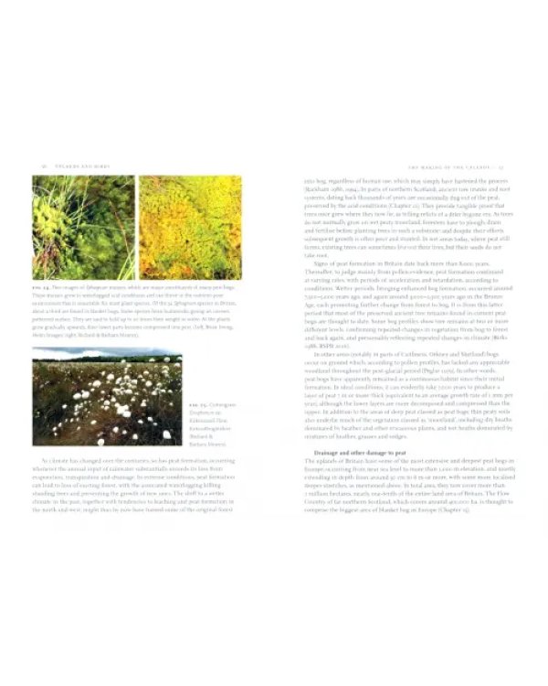 Uplands And Birds