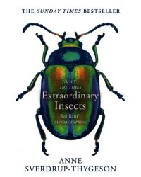 Extraordinary Insects. Weird. Wonderful. Indispensable. The ones who run our world