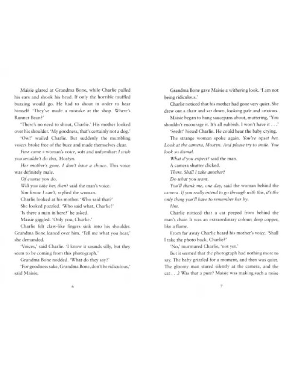 Дополнительное изображение книги «Midnight for Charlie Bone»