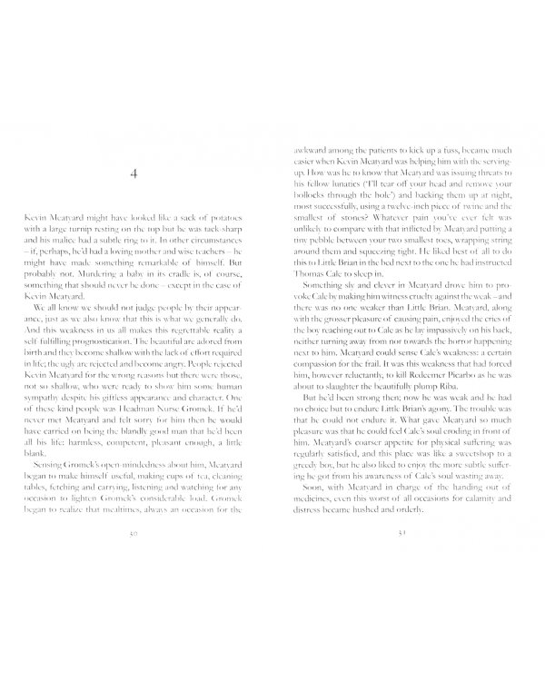 Дополнительное изображение книги «The Beating of his Wings»