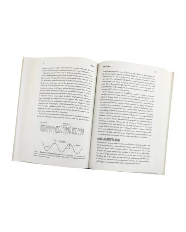 Elusive. How Peter Higgs Solved the Mystery of Mass