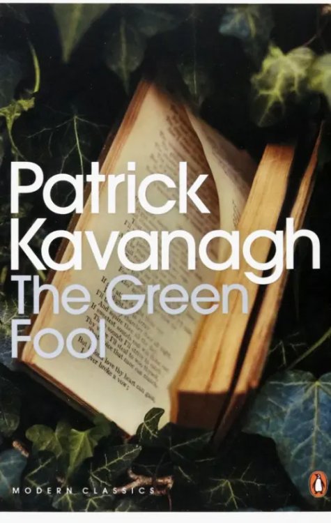 Penguin Modern Classics The Green Fool