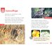 Oxford Read and Discover. Level 2. Camouflage Audio Pack