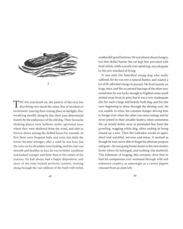 Дополнительное изображение книги «The Incredible Journey»