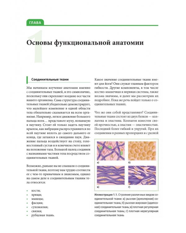 Функциональная анатомия йоги. Пособие для практикующих и наставников