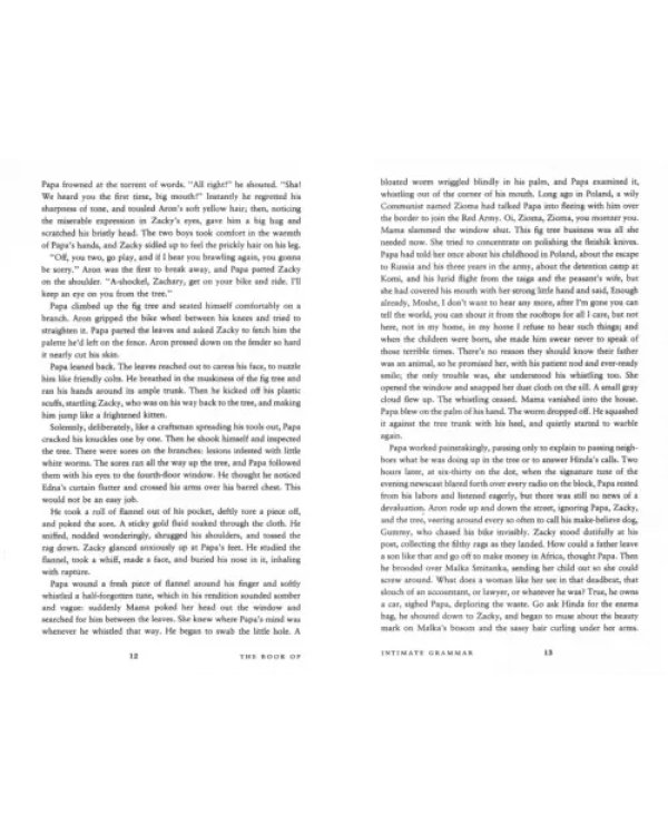 The Book Of Intimate Grammarvin