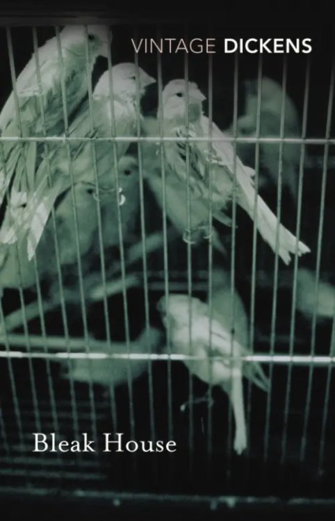 Vintage Classics Bleak House
