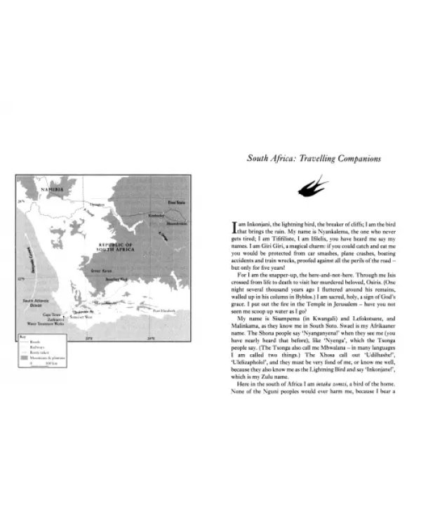 A Single Swallow. Following An Epic Journey From South Africa To South Wales