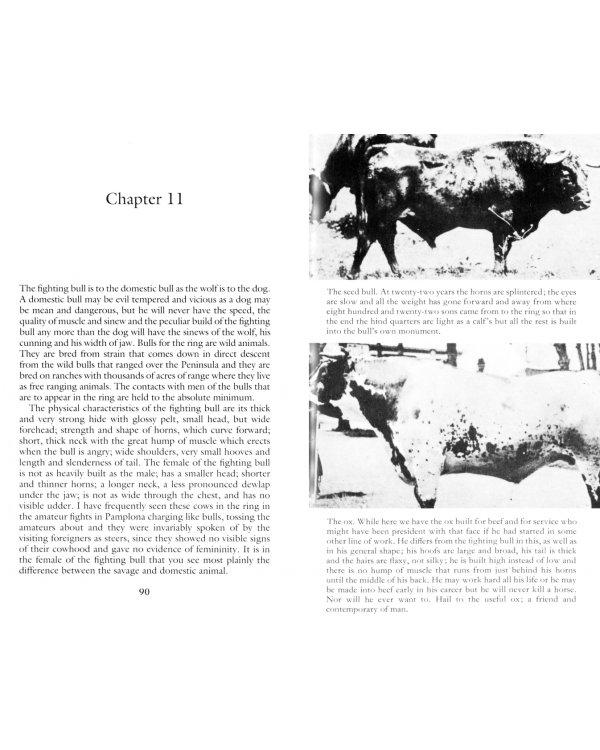 Death In The Afternoon