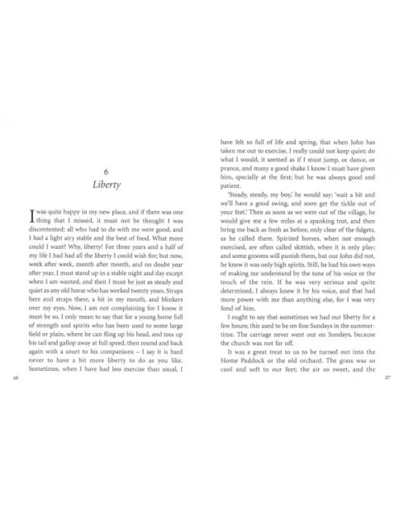 Дополнительное изображение книги «Black Beauty»