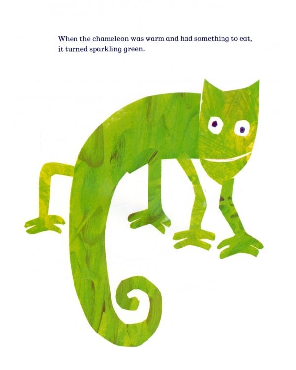 The Mixed-up Chameleon