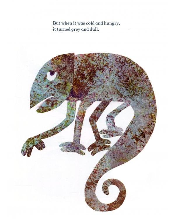 The Mixed-up Chameleon