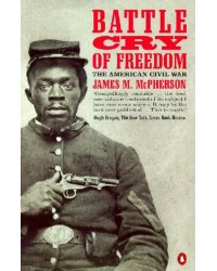 Battle Cry of Freedom. The Civil War Era