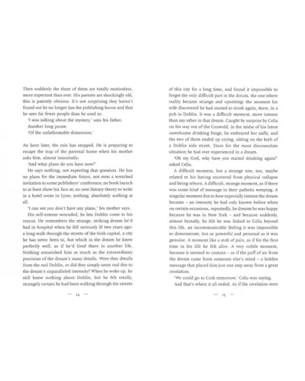 Дополнительное изображение книги «Dublinesque»