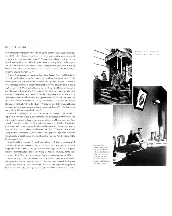 Stalin, Vol. II. Waiting for Hitler, 1929–1941