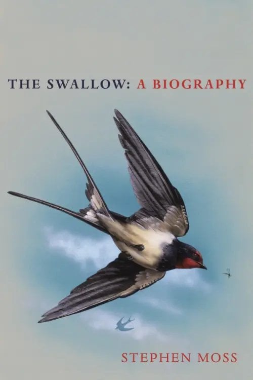 The Swallow. A Biography The Swallow. A Biography