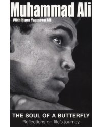 The Soul Of A Butterfly