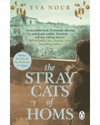 The Stray Cats of Homs