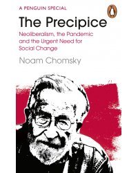 The Precipice. Neoliberalism, the Pandemic and the Urgent Need for Social Change