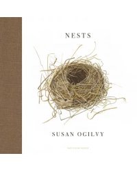 Nests
