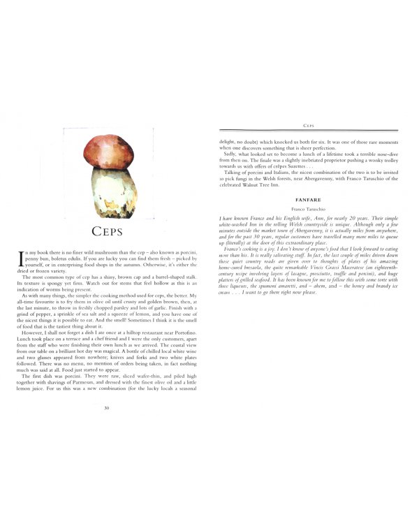 Roast Chicken and Other Stories