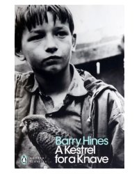 A Kestrel for a Knave