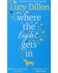 Where the Light Gets In